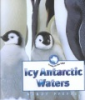 Icy_antarctic_waters