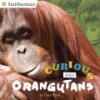 Curious_about_orangutans