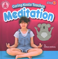 Caring_koala_teaches_meditation