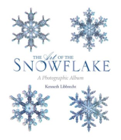 The_art_of_the_snowflake